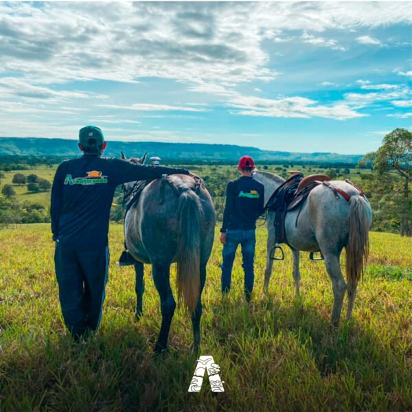 12. AVENTURA EN HERRADURAS (CABALGATA) - Image 4